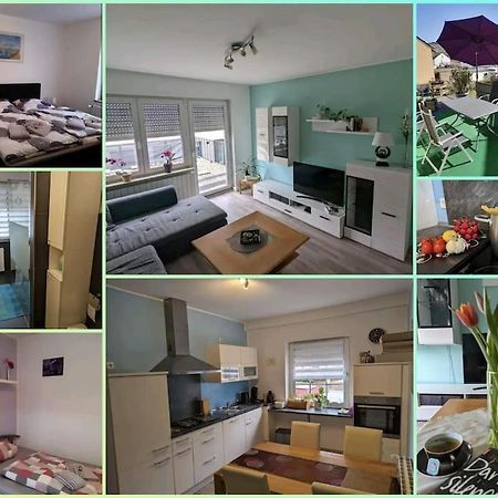 Ferienwohnung Philippi - Moselblick Mit Grosser Dachterrasse, 75 Qm, Hunde Willkommen ميهرينغ المظهر الخارجي الصورة