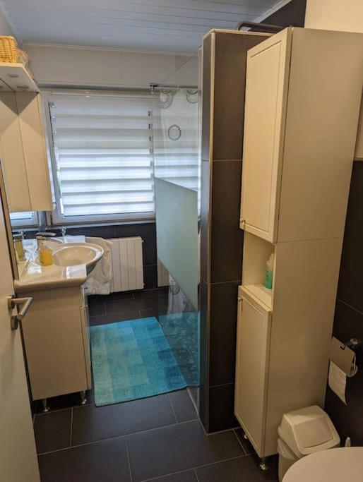Ferienwohnung Philippi - Moselblick Mit Grosser Dachterrasse, 75 Qm, Hunde Willkommen ميهرينغ المظهر الخارجي الصورة