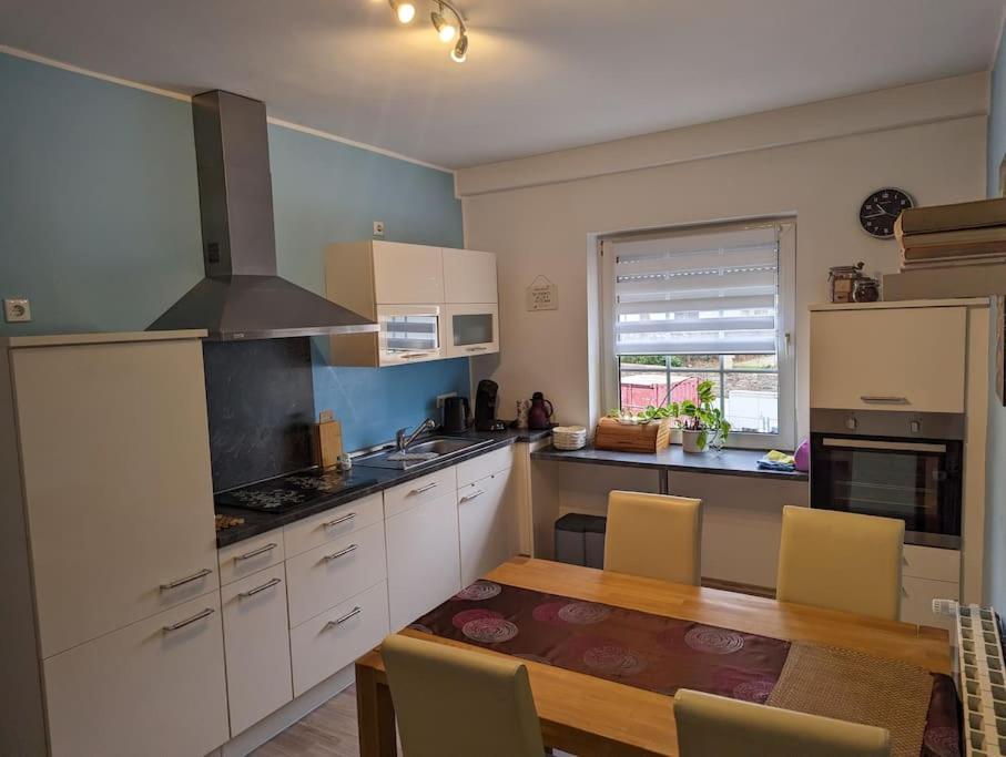 Ferienwohnung Philippi - Moselblick Mit Grosser Dachterrasse, 75 Qm, Hunde Willkommen ميهرينغ المظهر الخارجي الصورة